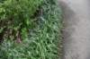 dsc_2276_fs_small.jpg