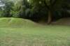 dsc_2333_fs_small.jpg