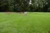 dsc_2374_fs_small.jpg