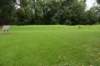 dsc_2375_fs_small.jpg