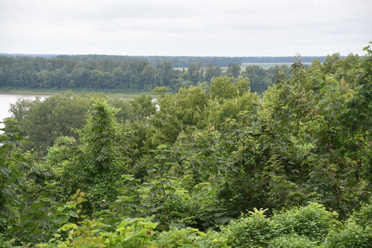 dsc_2422_fs.jpg