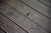 dsc_2497_fs_small.jpg