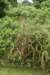 dsc_2522_fs_small.jpg
