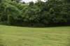 dsc_2529_fs_small.jpg