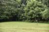 dsc_2530_fs_small.jpg