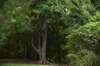 dsc_2534_fs_small.jpg