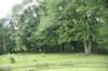 dsc_2541_fs_small.jpg