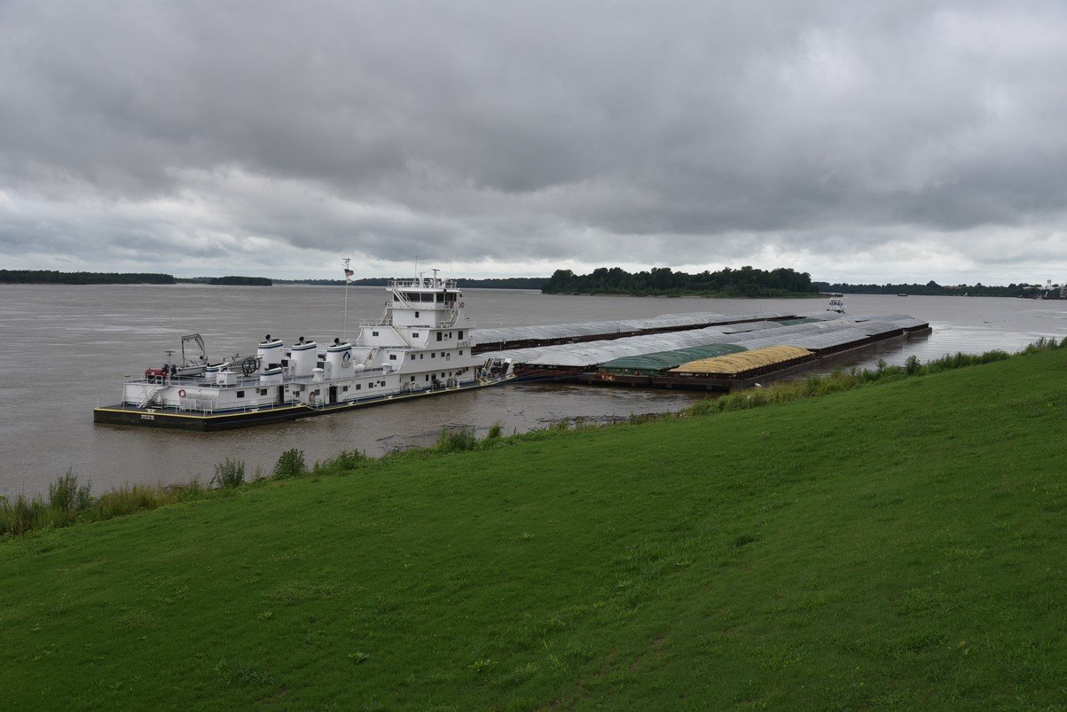 dsc_2631.jpg