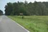 dsc_2901kincaidmounds_small.jpg