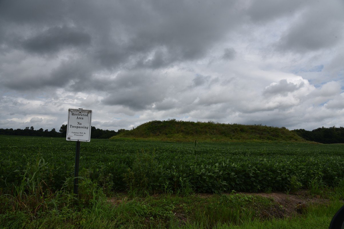 dsc_2906_fs.jpg