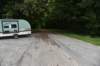 dsc_2912_fs_small.jpg