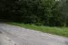dsc_2913_fs_small.jpg