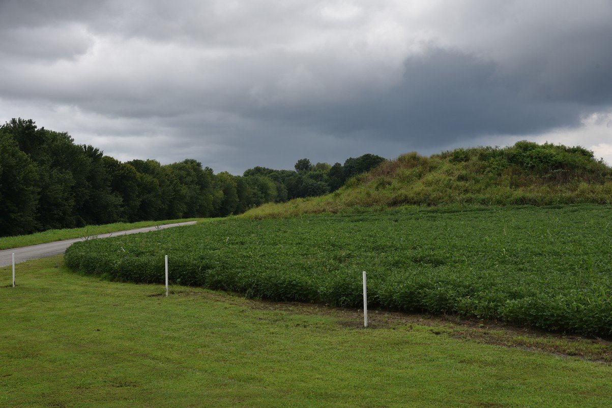dsc_2927_fs.jpg
