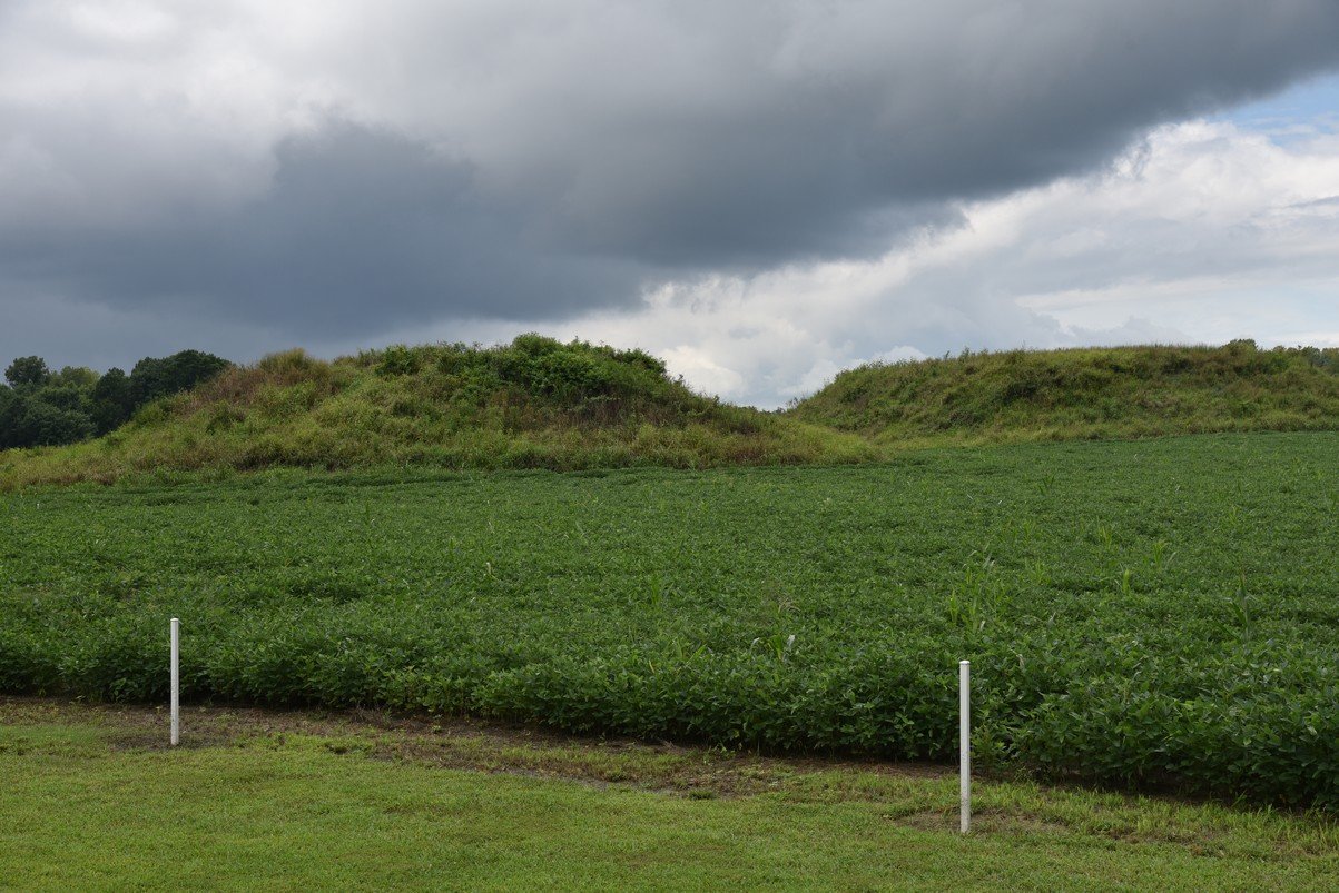 dsc_2928_fs.jpg