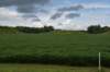 dsc_2930_fs_small.jpg
