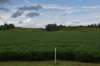 dsc_2931_fs_small.jpg