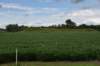 dsc_2932_fs_small.jpg