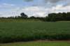 dsc_2933_fs_small.jpg