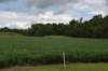 dsc_2934_fs_small.jpg