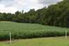 dsc_2935_fs_small.jpg