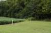 dsc_2936_fs_small.jpg