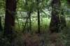 dsc_2937_fs_small.jpg