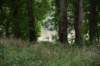 dsc_2939_fs_small.jpg