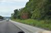 dsc_2971stlouisarea_small.jpg