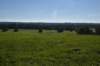 dsc_3113_fs_small.jpg
