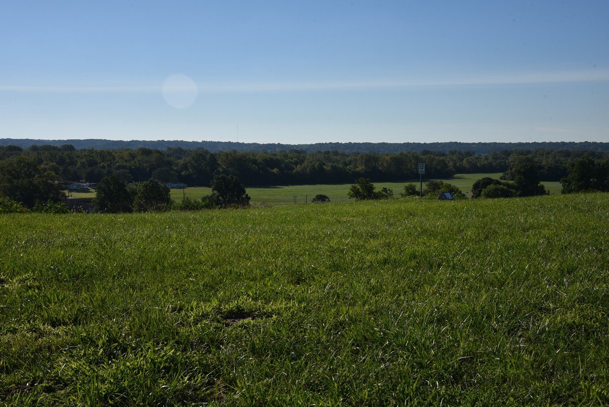 dsc_3116_fs.jpg
