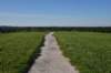dsc_3120_fs_small.jpg