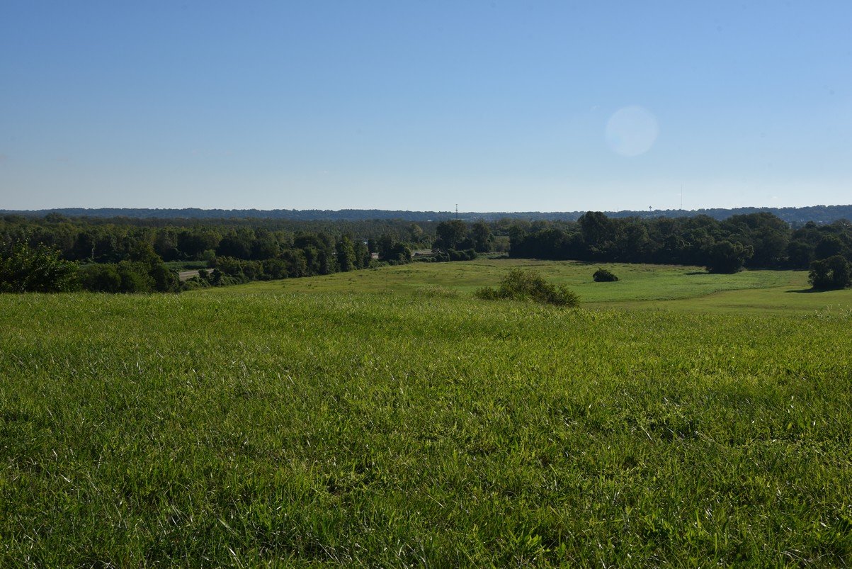dsc_3136_fs.jpg