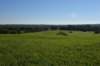 dsc_3136_fs_small.jpg
