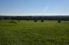 dsc_3137_fs_small.jpg