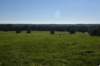 dsc_3138_fs_small.jpg