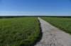 dsc_3146_fs_small.jpg
