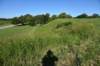 dsc_3150_fs_small.jpg