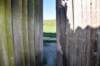 dsc_3170_fs_small.jpg