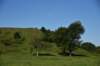 dsc_3171_fs_small.jpg