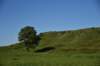 dsc_3173_fs_small.jpg