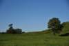 dsc_3174_fs_small.jpg