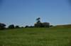 dsc_3175_fs_small.jpg