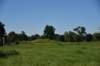 dsc_3177_fs_small.jpg