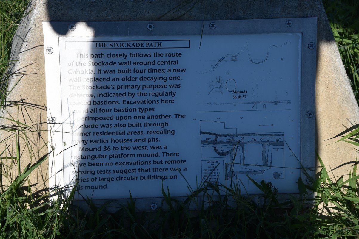 dsc_3179_fs.jpg