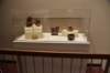 dsc_3220_fs_small.jpg