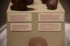 dsc_3222_fs_small.jpg
