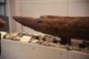 dsc_3228_fs_small.jpg