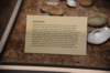 dsc_3236_fs_small.jpg