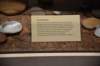 dsc_3237_fs_small.jpg