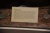 dsc_3238_fs_small.jpg
